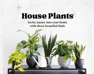 House Plants